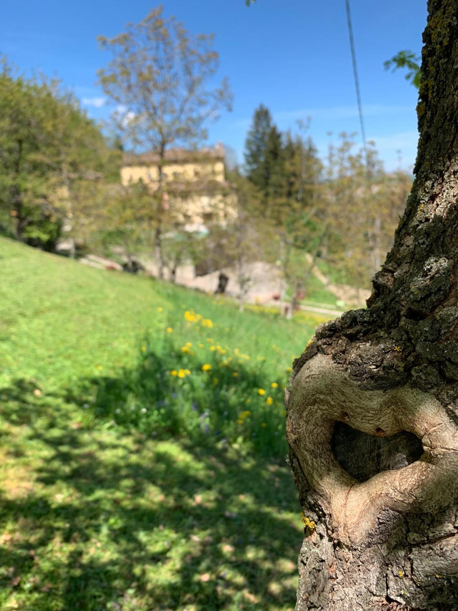 Borgo La Morra Villa Pavullo nel Frignano Eksteriør bilde